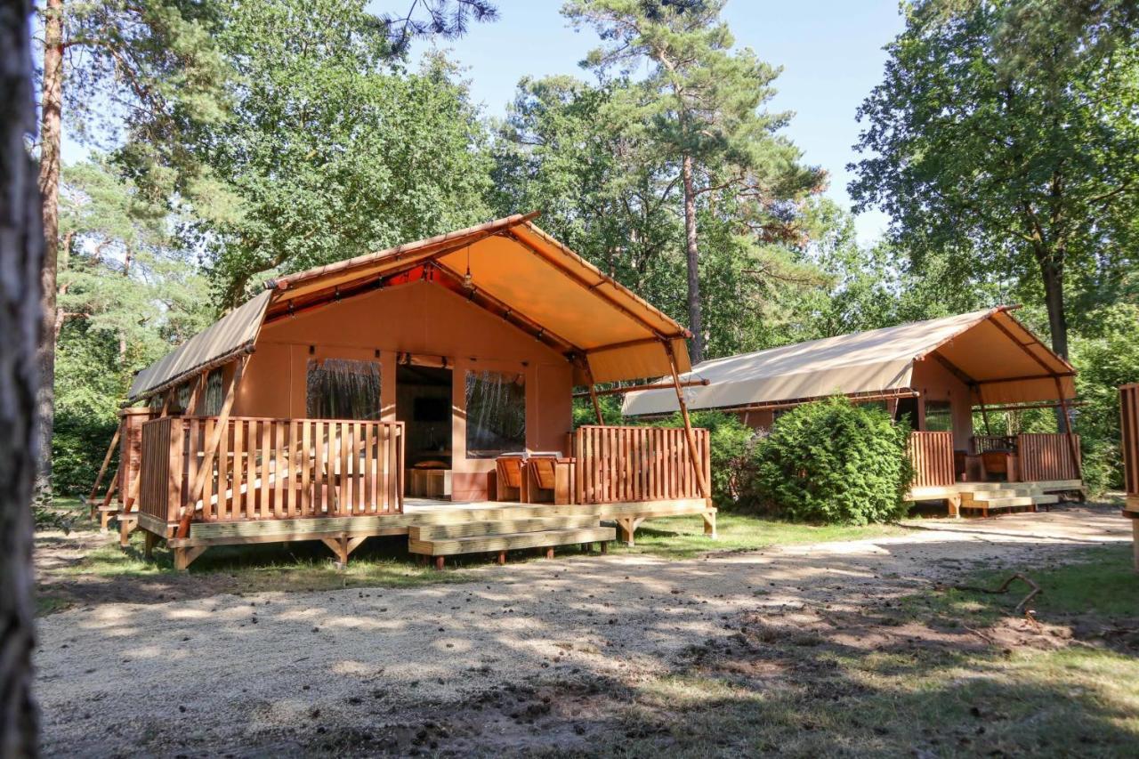 Lodgetent 4