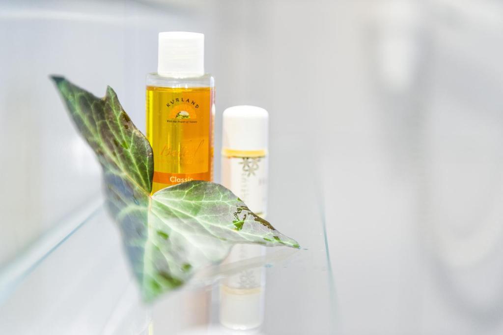 Vierbett-Familienzimmer mit eigenem Bad und Dusche