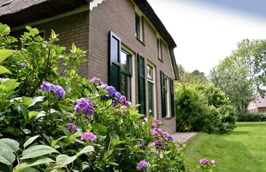 Bij ons op 20-1