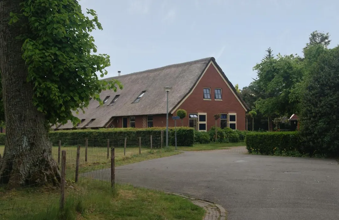 B&B D'Olle Saks-1
