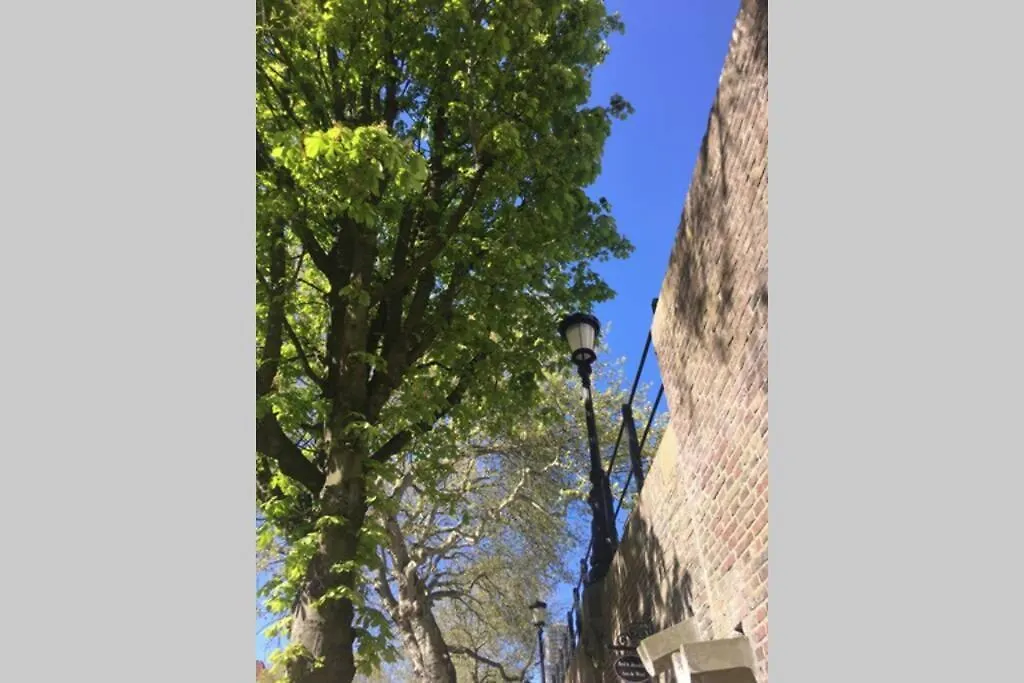 Werfkelder Aan De Oudegracht-1