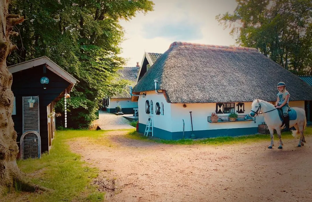Bakhuisje op de Veluwe-1