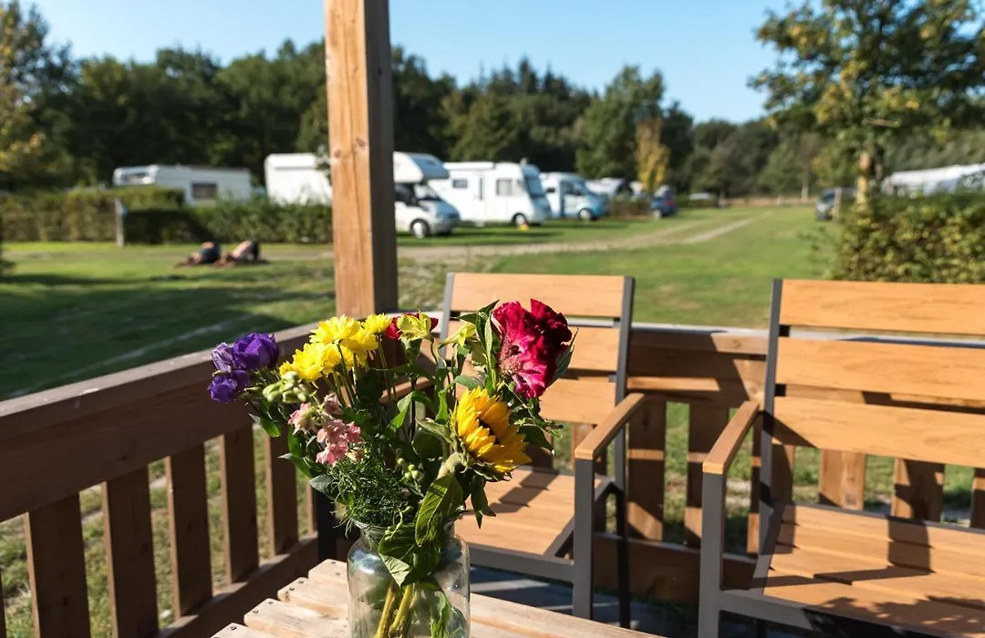 Vakantiehuis De Schaapskooi-1