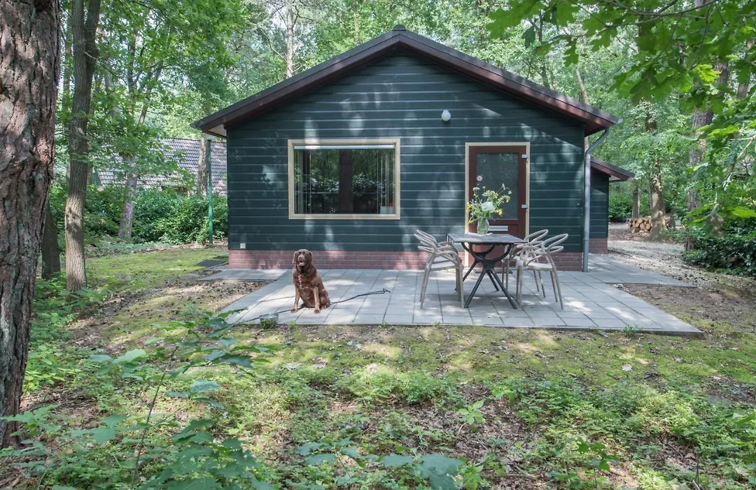 Vakantiepark Zevenbergen-1