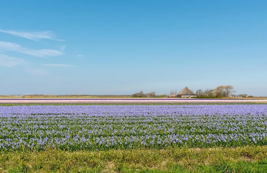 Luxe Villa Keizerskroon - Julianadorp Aan Zee-1