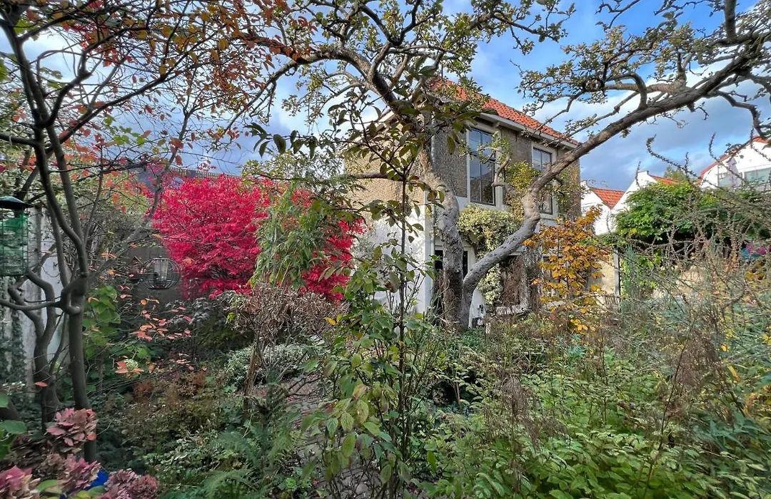 Apple Tree Cottage - Charming Home At Beautiful Canal In Our Idyllic Garden-1