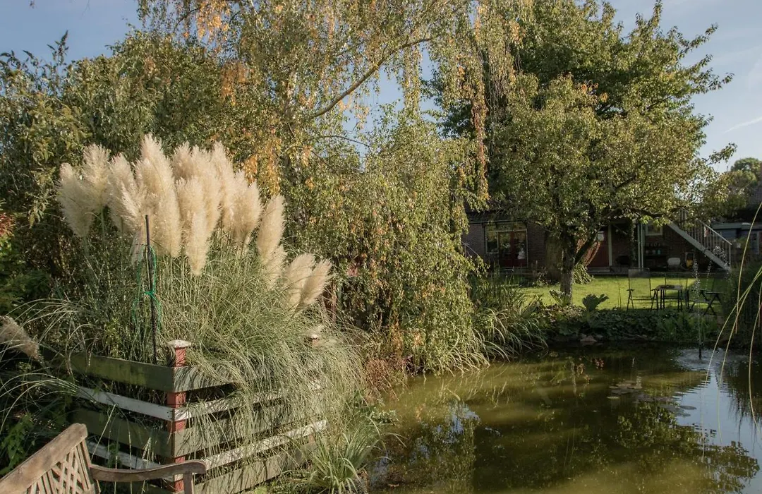 B&B Ben in Broek-1