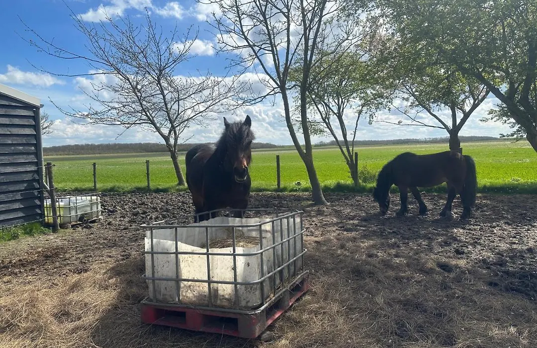 Het Tinkerparadijs, paarden, rust en ruimte.-1