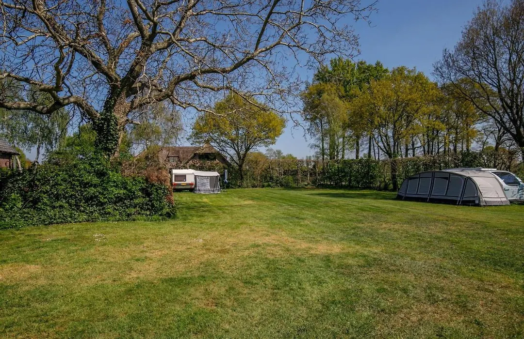 Camping De Nieuwe Hof-1