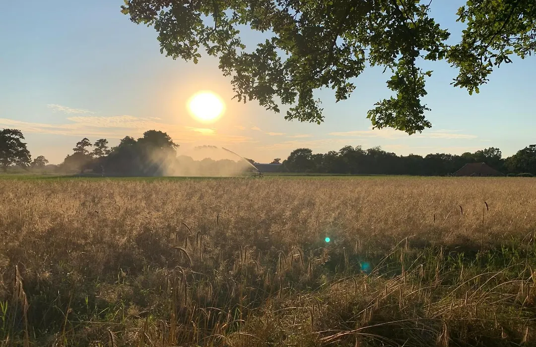 De Hiddinghhoeve-1
