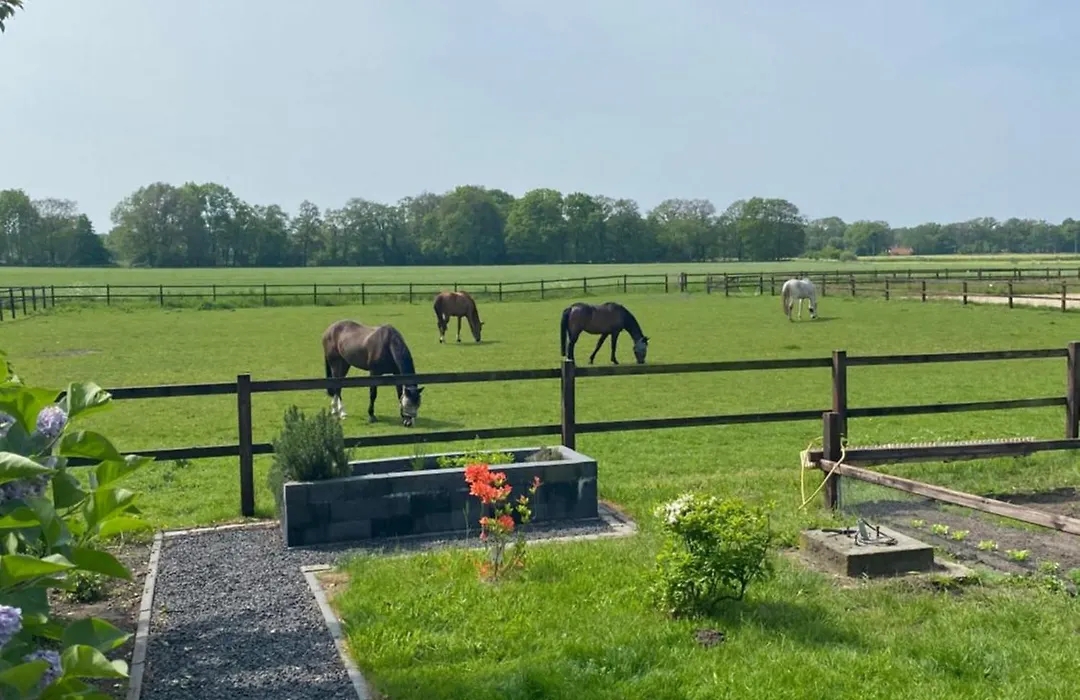 Erve Het Roolvink Boerderij Appartementen 40-50 M2-1