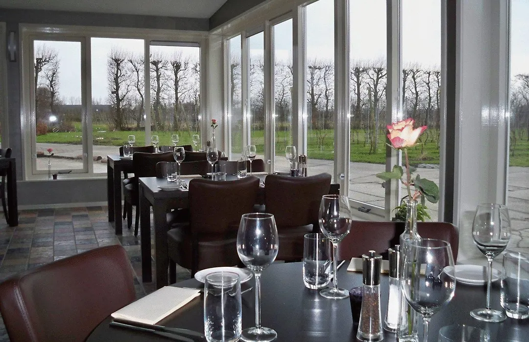Wijngaard Saalhof-1