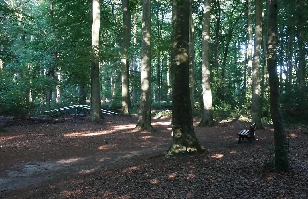 B&B aan het bos-1
