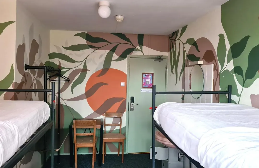 The Flying Pig Beach Hostel Age 18 To 40-1