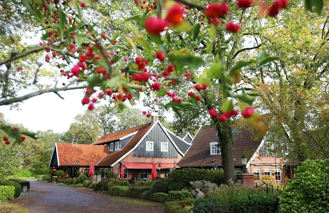 Het Ros Van Twente-1