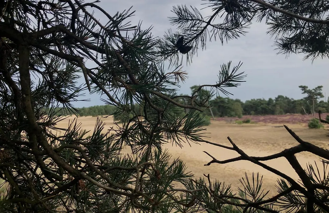 Het Natuurhuisje op de Veluwe-1