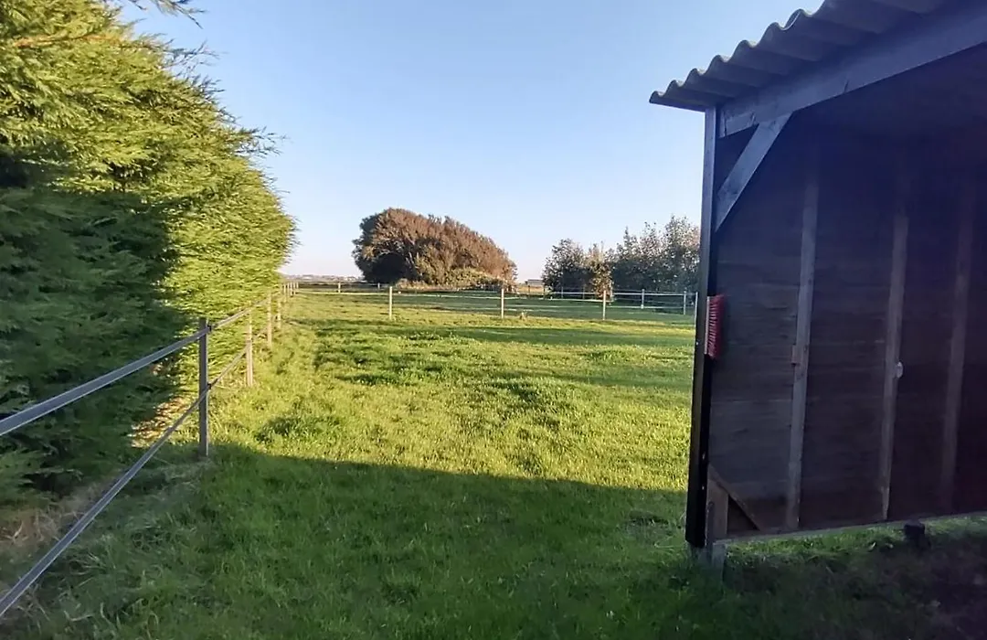 B&B Buiten Gewoon Callantsoog-1