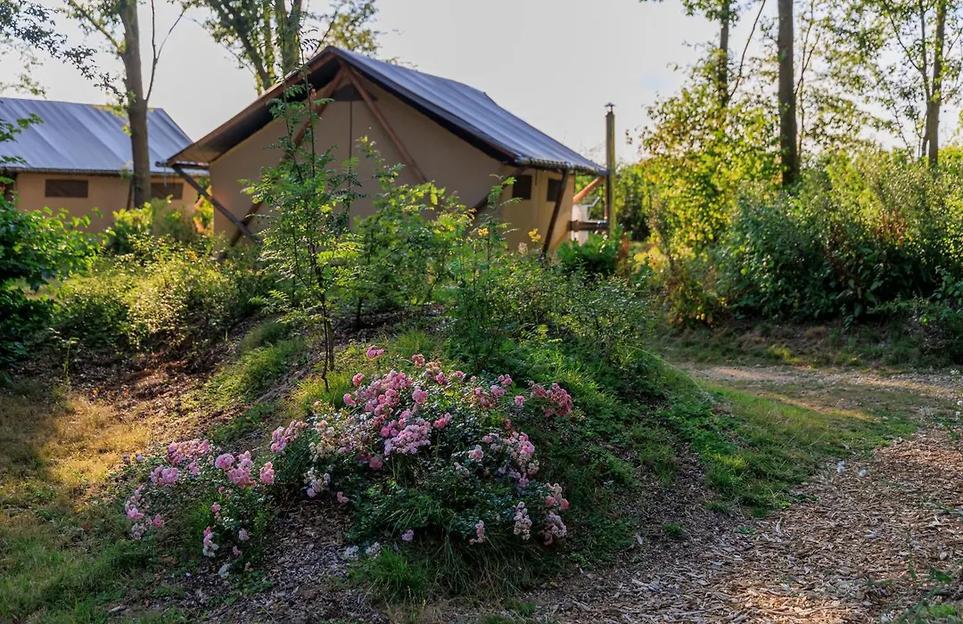 Camping Valkenburg - Maastricht-1
