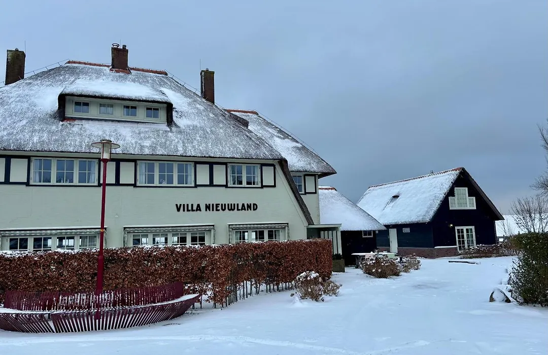 Villa Nieuwland B&B-1
