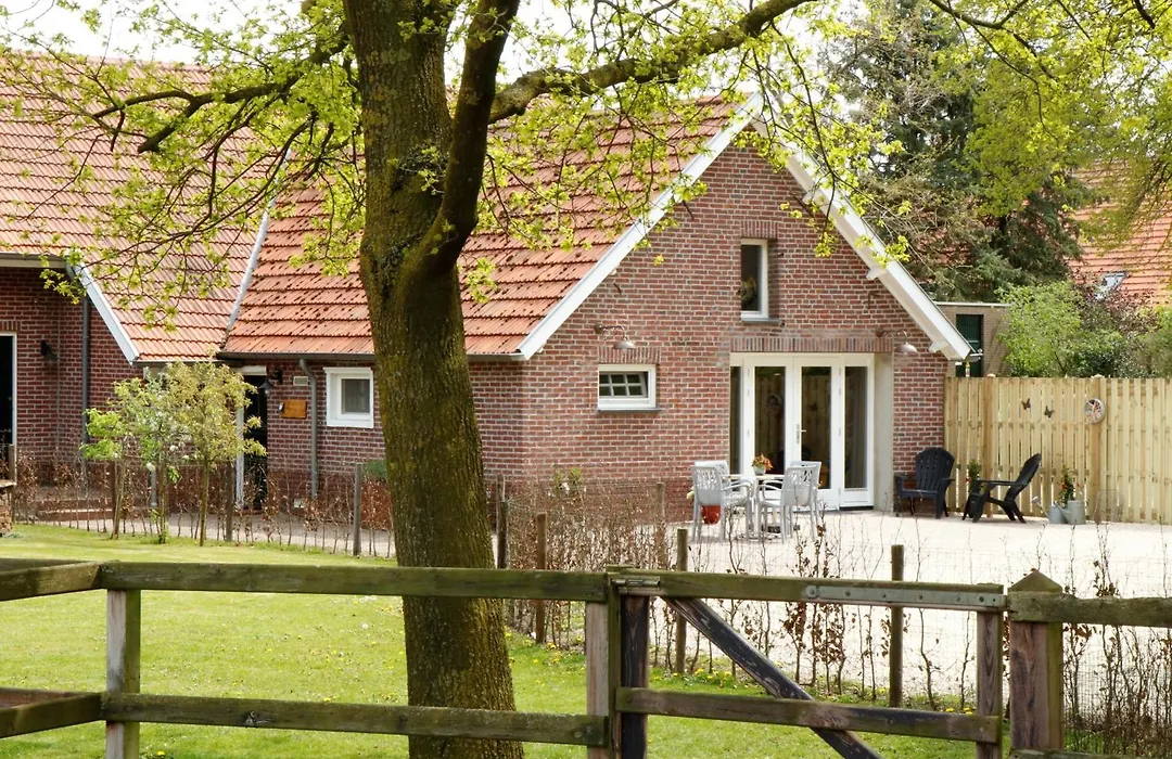 B&B Bergheide-1