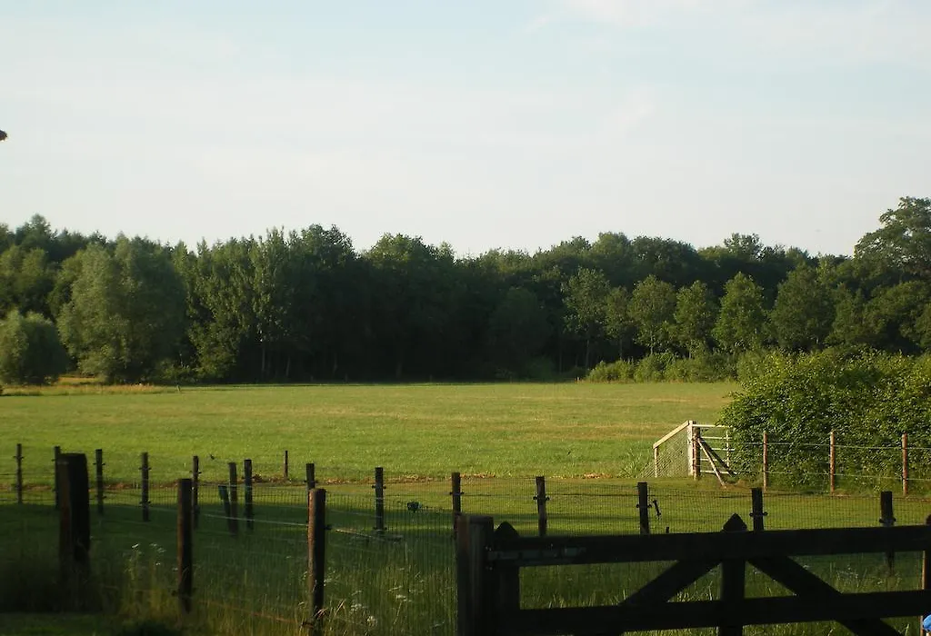 Erve Dikkeboer-1