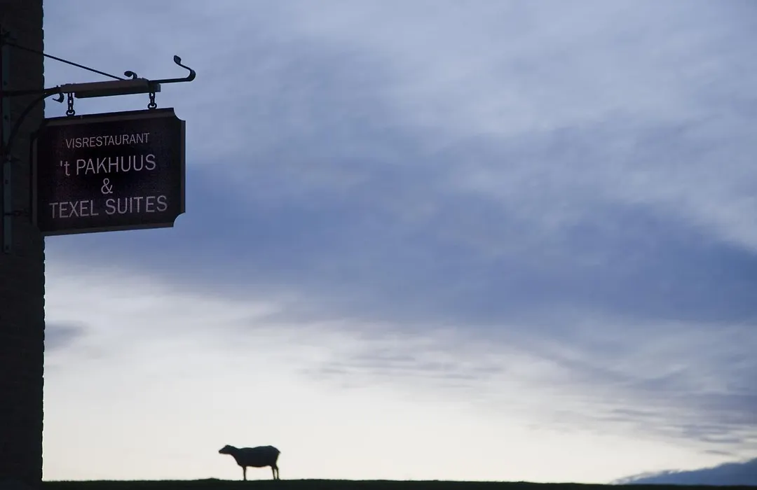 Texel Suites-1