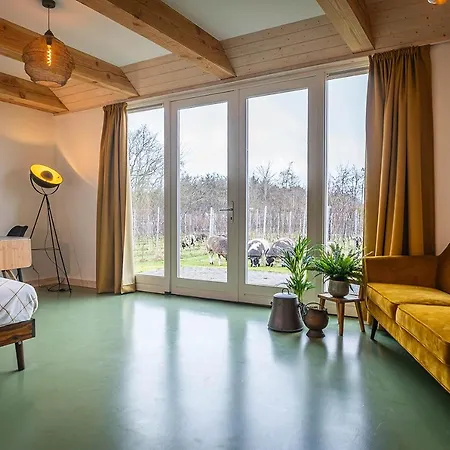 Wijngaard de Kroon van Texel-3