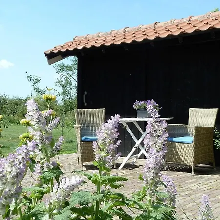 Bed&Breakfast Hoornaar-3