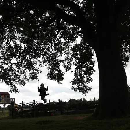 B&B Puur Drenthe-3