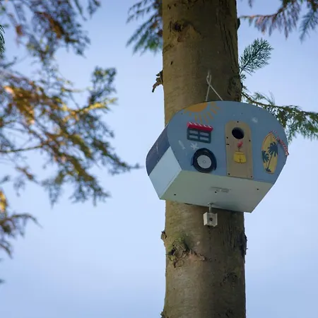 Camping Het Vossenhol-3