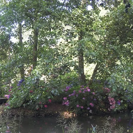Blokhut De Vlinder Gelegen Nabij Het Pieterpad-2