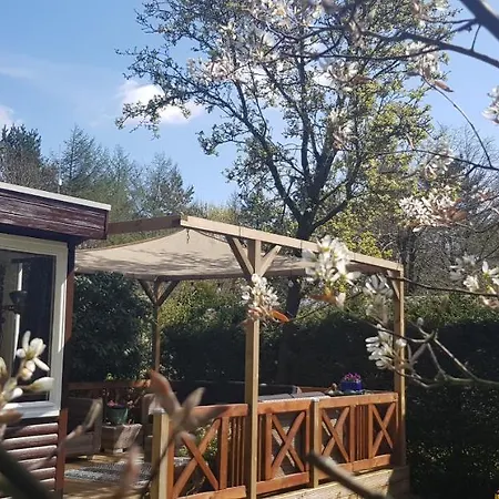 Vakantiehuis Op De Veluwe-2