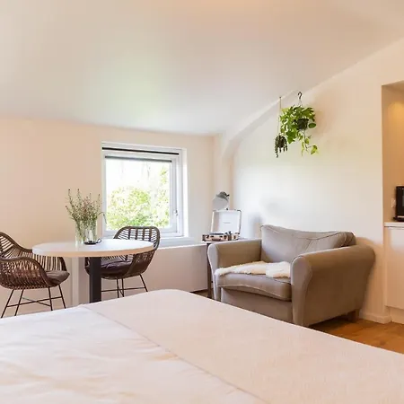 Boerderij Appartementen Ûnder de Wol - Súdwest Fryslân-3