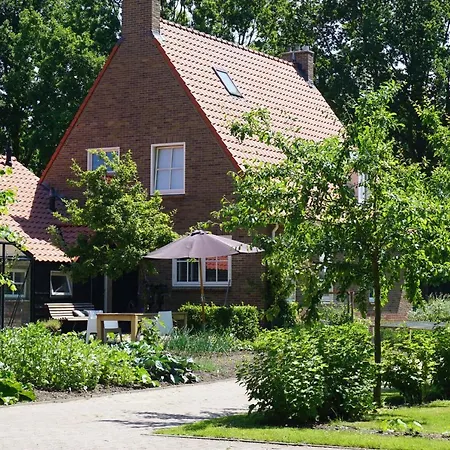 Het Leeuwterveld-2