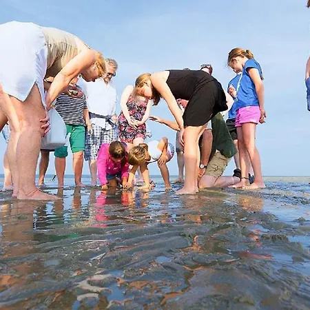 Chalet op Camping Lauwersoog met 3 slaapkamers en vaatwasser - JoyCasa-2