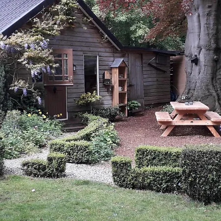 B&B Arrierend-2