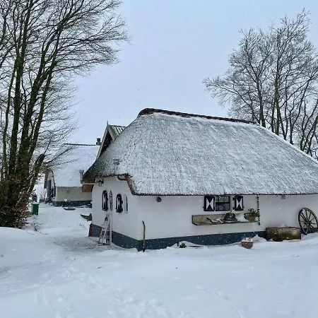 Bakhuisje op de Veluwe-2