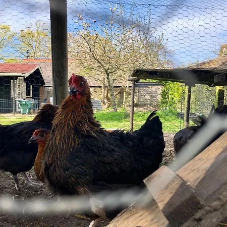 Hoeve te Gast-3