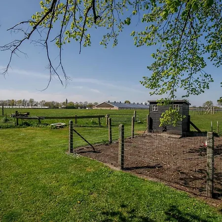 Camping De Nieuwe Hof-3