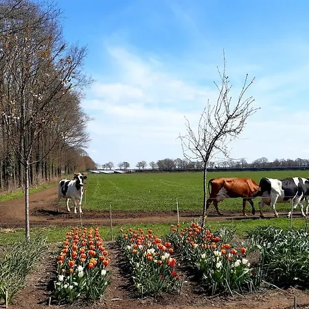 Bed&Breakfast De Volkelse Hooiberg-3