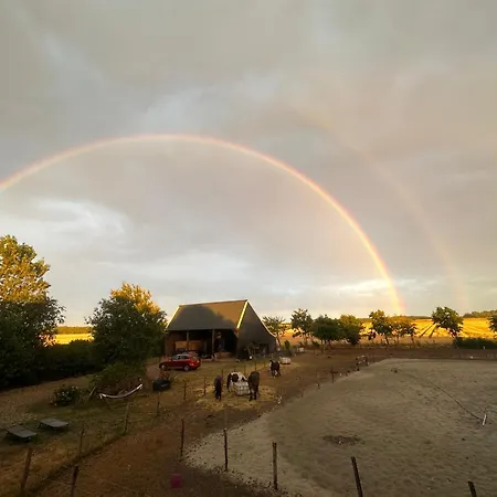 Het Tinkerparadijs, paarden, rust en ruimte.-2