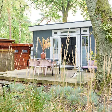 Heerlijk Huisje Hoenderloo-3