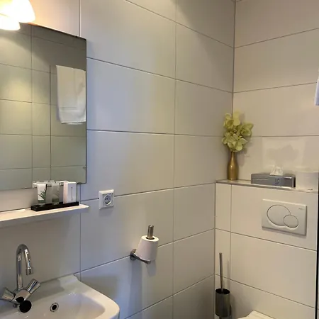Het Wapen van Rhoon-3
