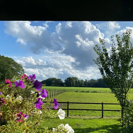 Erve Het Roolvink Boerderij Appartementen 40-50 M2-3