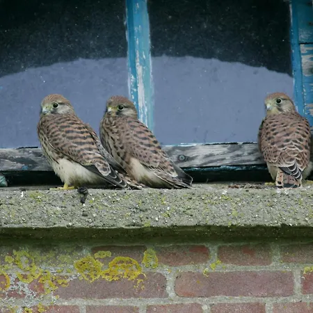 De Zeeuwsche Hoeve-2