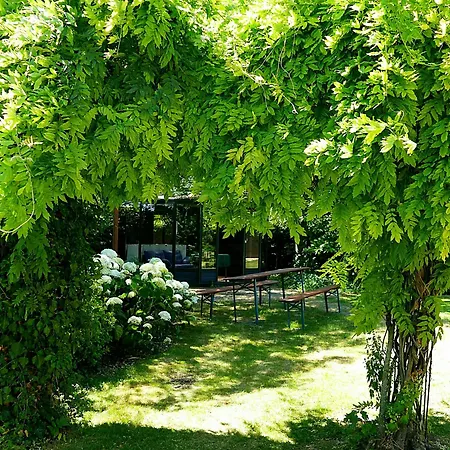 B&B Boerderij Zonneveld-3