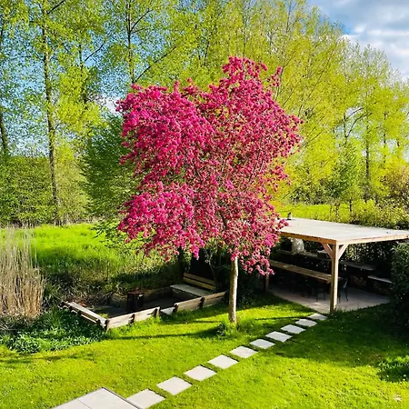 VILLA CALMA Rust Ruimte Luxe inclusief private jacuzzi-2