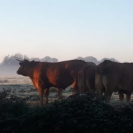 Landelijk gelegen Huisje op erf-2