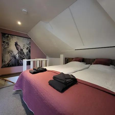 B&B Vergeet me Niet-3