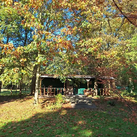 Villa Berk en Heide-3